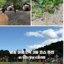 봉평의향기&바베큐 | 평창 여행 가볼까 코스 추천 숙소 맛집 가볼만한곳