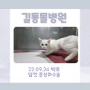 백호동물병원 이미지