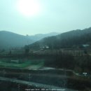 교촌치킨사북고한점