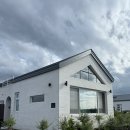 스테이 다연 이미지