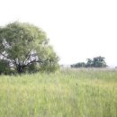 플레이스데어(Place there) 이미지