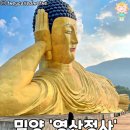 기네스북에 등재됐다는 초대형 부처님이 있는 밀양 사찰 이미지