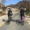 닥터발가락 이미지