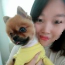 용현애견방 이미지