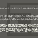 법인진솔 이미지