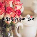 향기 Daum카페