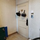 초월읍-13 이미지