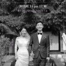 애니셀프 이미지