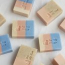 하얀강아지&고양이 이미지