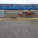 동복마을운동장 이미지