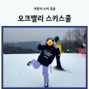 로리반골프스쿨 | 어린이 스키 강습 오크밸리 스키스쿨 5시간 강습 후기