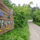 일월애관광농원 이미지