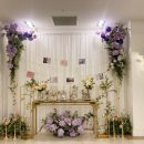 비타메인 이미지