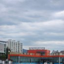 돼지들의이야기 | 마산 돝섬 해피랜드 유람선 타고 다녀온 후기｜황금돼지섬 실제 풍경