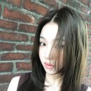 아르결 이미지
