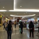 일로일로 이미지