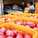 풍년밥상 이미지