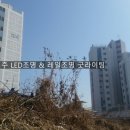성화조명