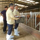 사천축사 이미지