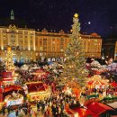 라임호스텔 | #7. [독일 베를린/드레스덴🇩🇪] 크리스마스 도장깨기 (4)