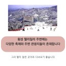 웰리힐리당구장 이미지