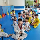 엄지태권도체육관 이미지