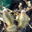 야탑1동 주민센터 이미지