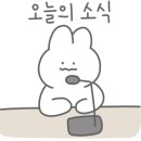 젤라또로플양주점
