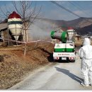 축산농가의 철저한 차단방역으로 조류인플루엔자 사전 예방 이미지