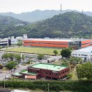 세계로기업 주간현대