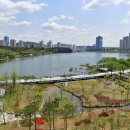 광교호수공원 이미지