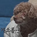 쓱싹 이미지