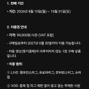 스포티비 챔스 패스 가격 떴는데 이미지