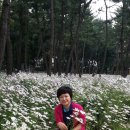 구월초등학교 이미지