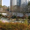 중앙탑중학교 앞 이미지