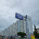 먹물산오징어 이미지