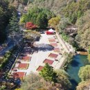 성수산 왕의숲 국민여가캠핑장 이미지