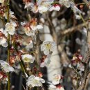 용담댐하늘펜션 이미지