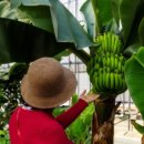 과일나라 앞 이미지