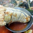 박쏘가리 이미지