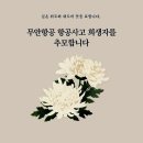 행복한하루 이미지