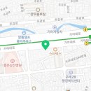 도로시펫 강아지고양이 부산점 이미지