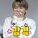복작복작 Daum카페