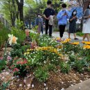 청사로-14 이미지