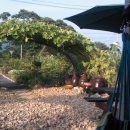 여름농장 이미지