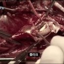 산소황