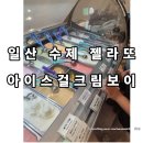 쭌쭌이네 | 인생 젤라또 발견!건강한 달콤함 일산 아이스걸크림보이