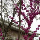 아현중학교 이미지