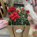 김포웰의원 네이버블로그