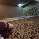 극동스포랜드 이미지